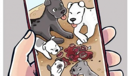 流浪狗漫画,街头生存与人性光辉